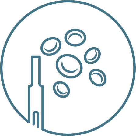 OneTouch Select<sup>®</sup>